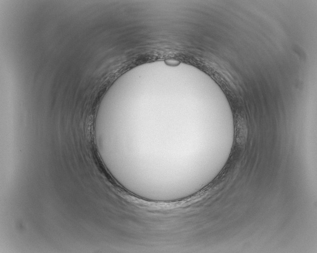 X0000116320034200912010953