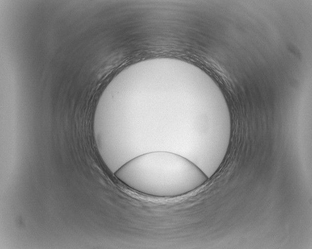 X0000116320039200912010953