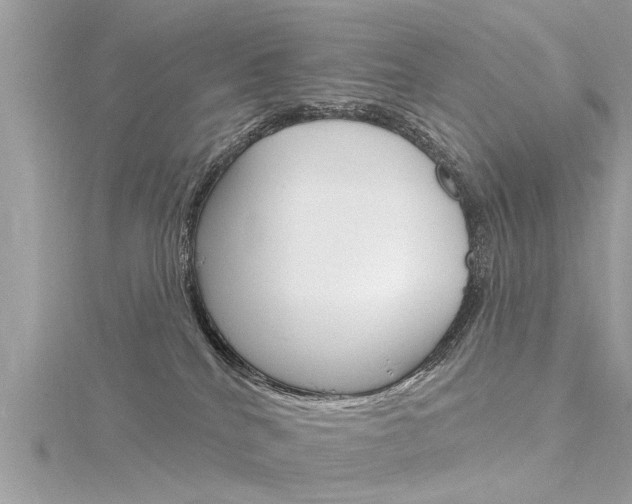 X0000116320040200912010953