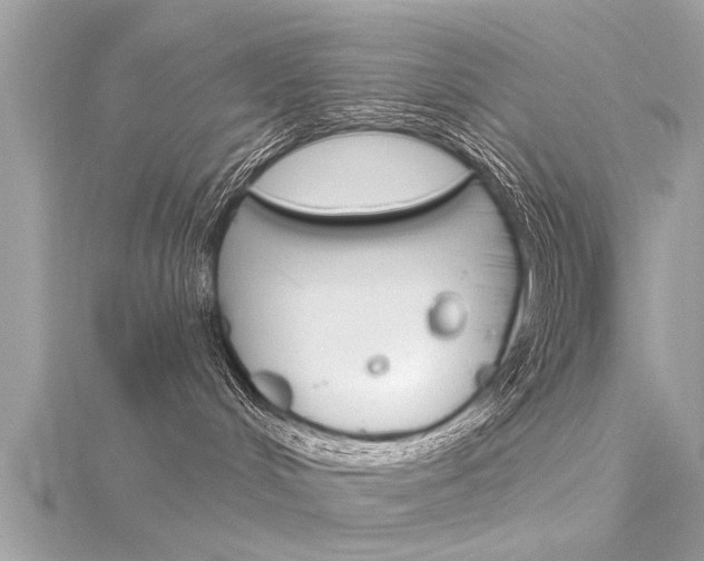 X0000116320048200912010953