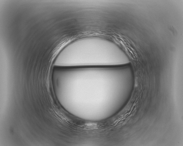 X0000116320052200912010953