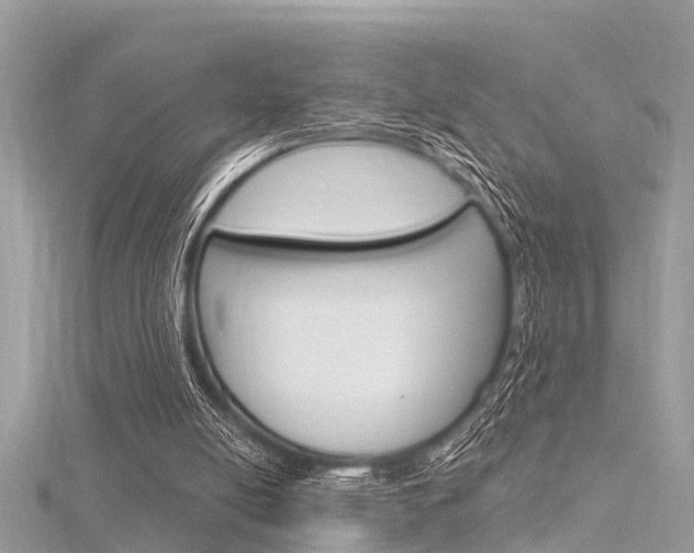 X0000116320054200912010953