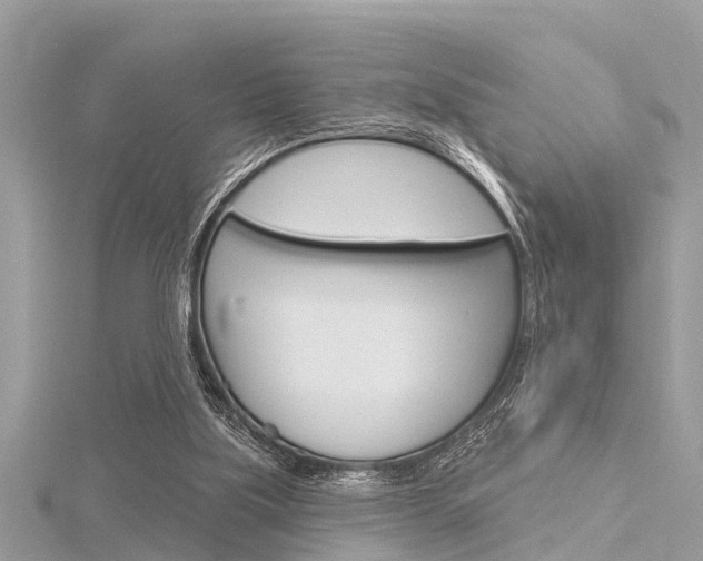 X0000116320059200912010953