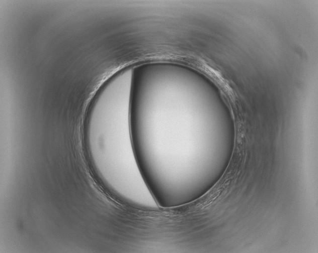 X0000116320060200912010953