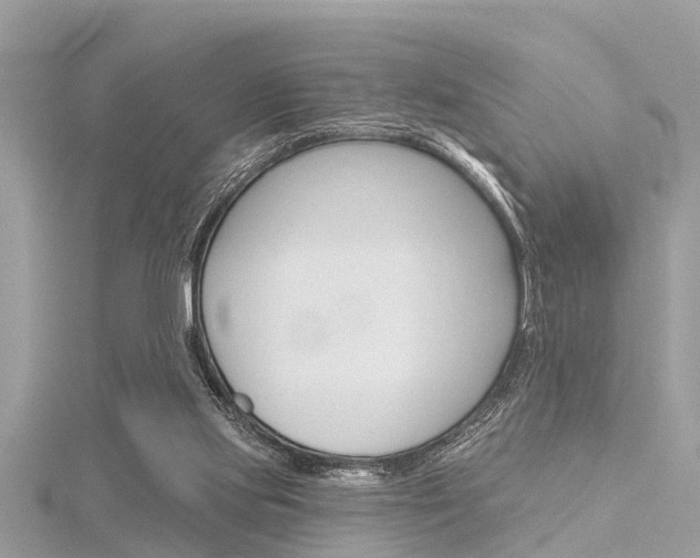 X0000116320061200912010953