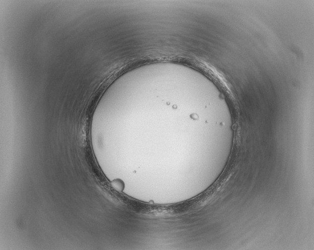 X0000116320065200912010953