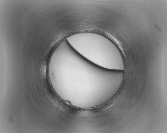 X0000116320067200912010953