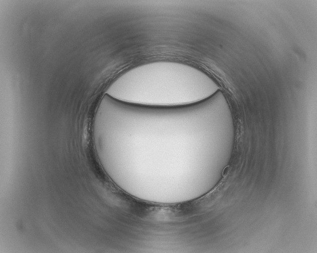 X0000116320074200912010953