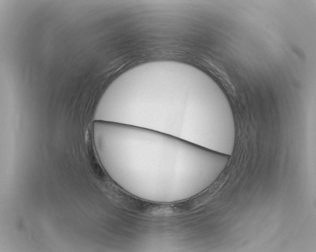X0000116320075200912010953