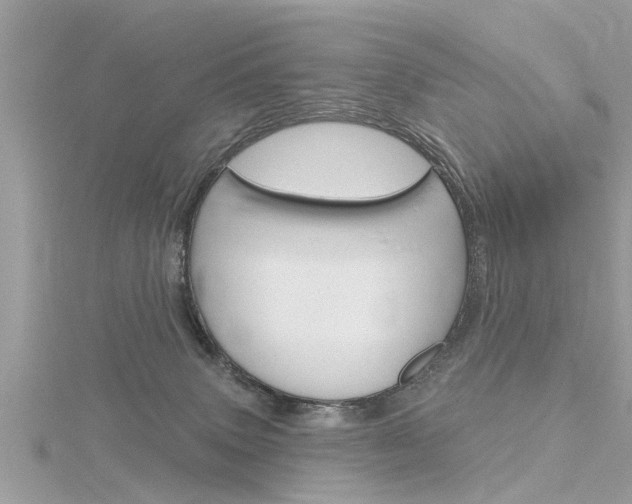 X0000116320083200912010953