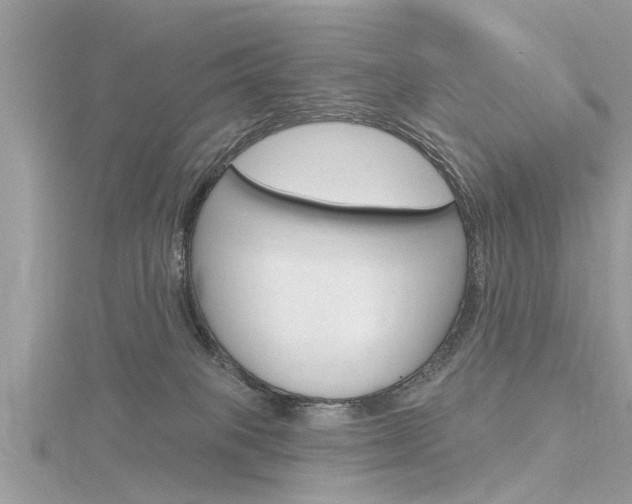 X0000116320085200912010953