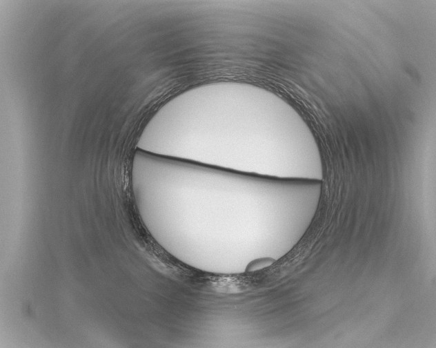 X0000116320091200912010953