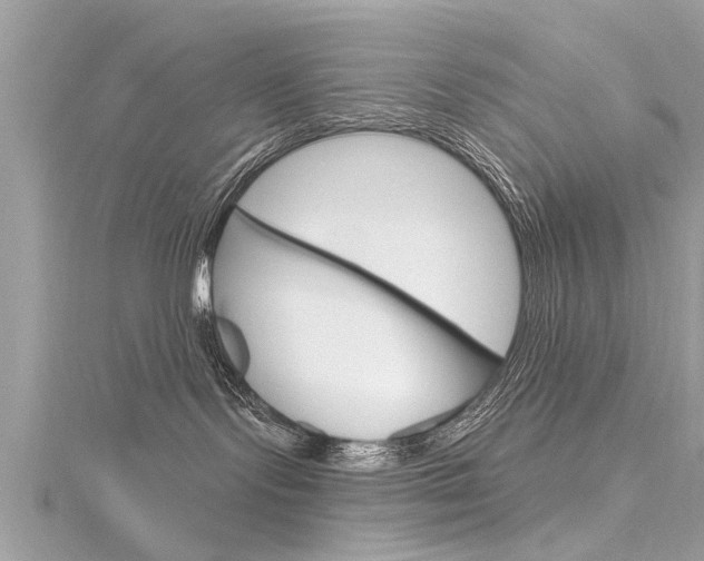 X0000116320095200912010953