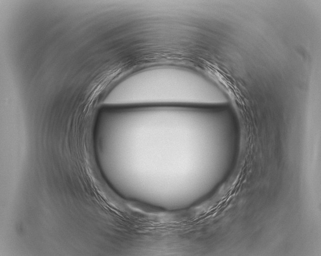 X0000116320097200912010952