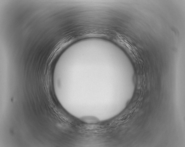 X0000116320098200912010952