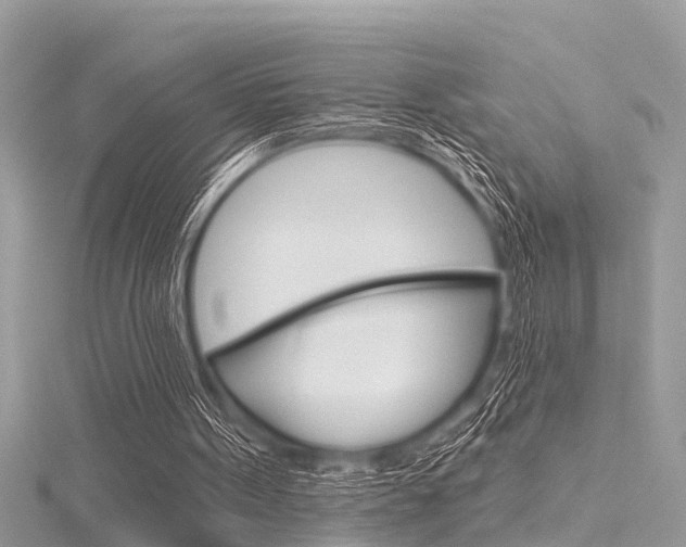 X0000116320099200912010952