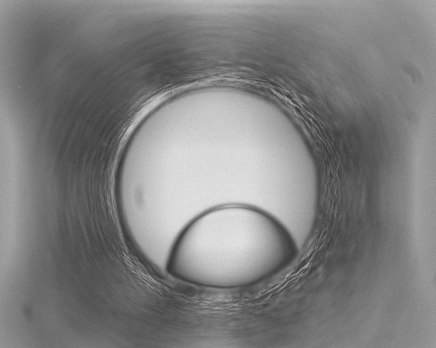 X0000116320100200912010952