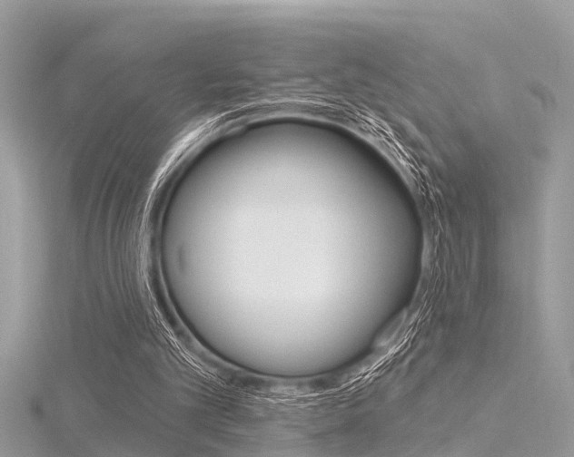 X0000116320101200912010952