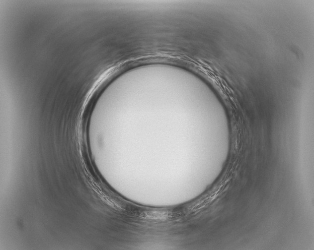 X0000116320102200912010952
