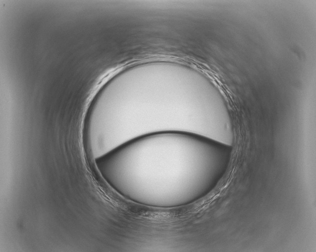 X0000116320104200912010952