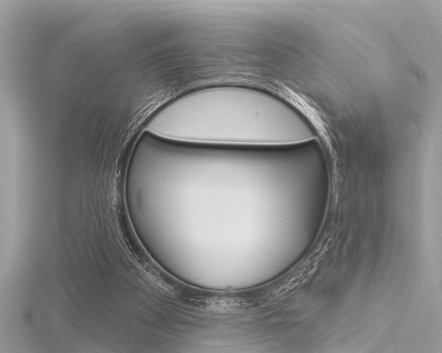 X0000116320105200912010952