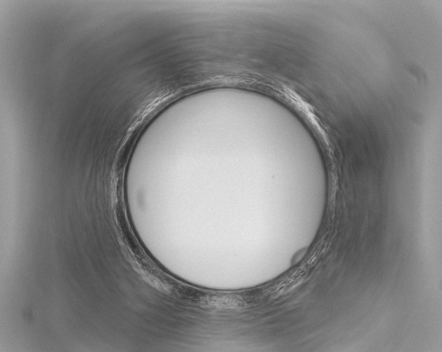 X0000116320106200912010952
