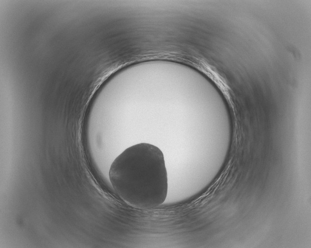X0000116320107200912010952