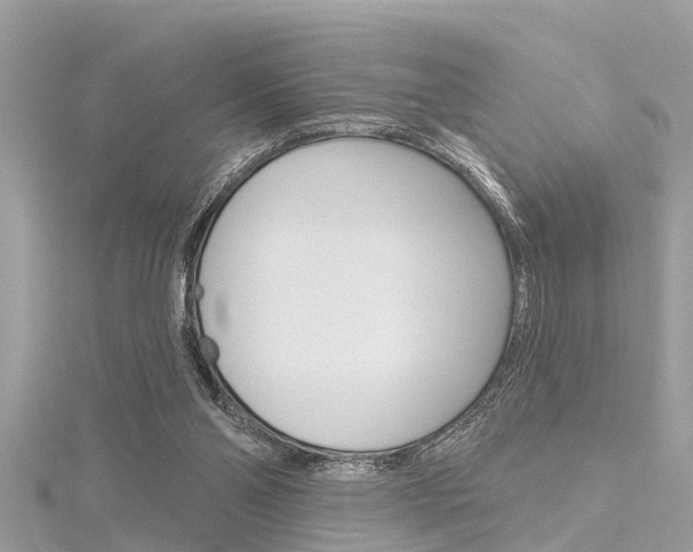 X0000116320110200912010952