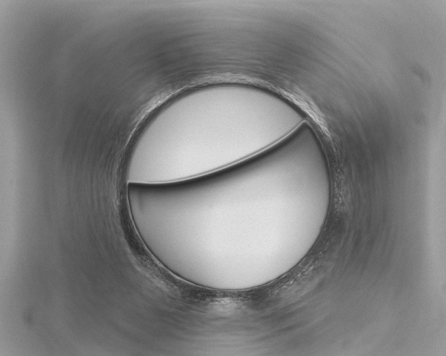 X0000116320111200912010952