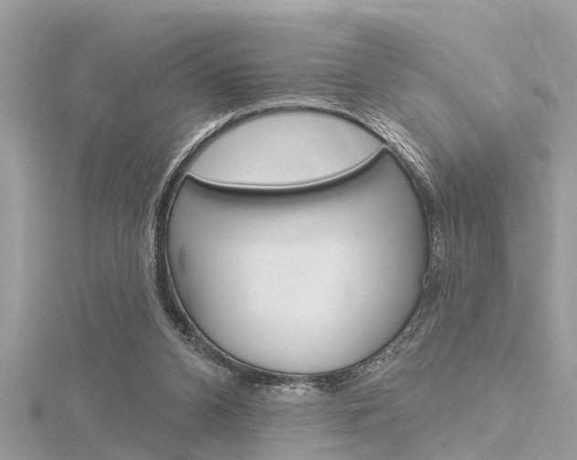 X0000116320112200912010952