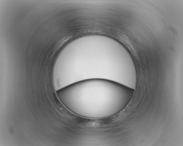 X0000116320116200912010952