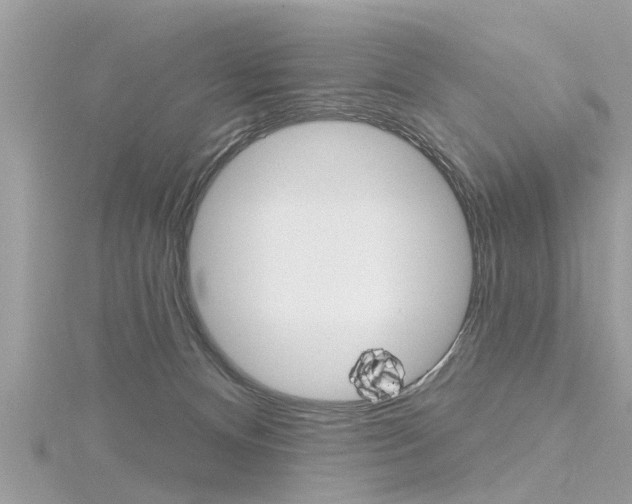 X0000116320128200912010952