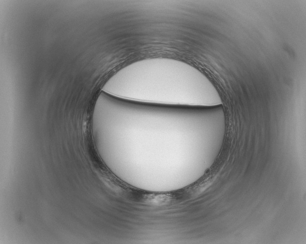 X0000116320135200912010952