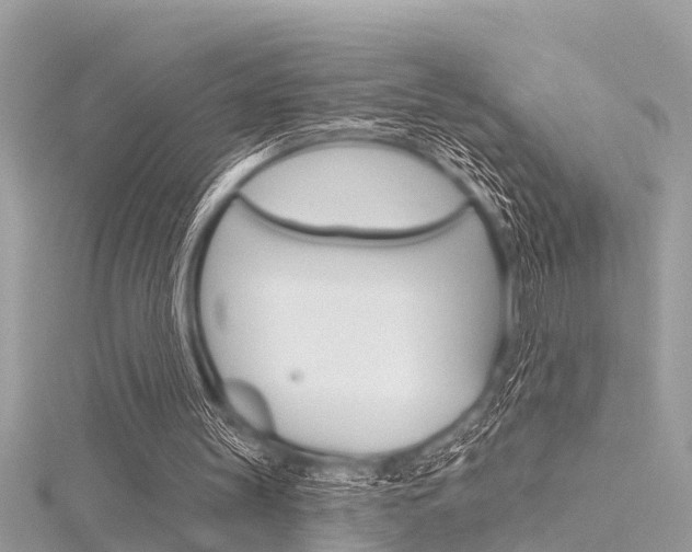 X0000116320147200912010951