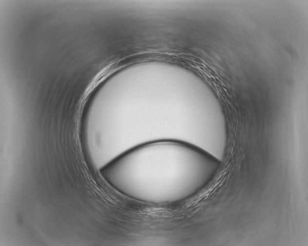 X0000116320150200912010951