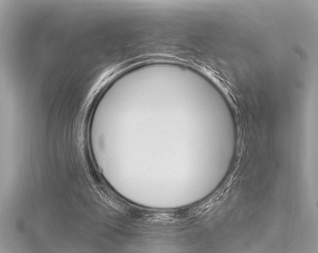 X0000116320151200912010951