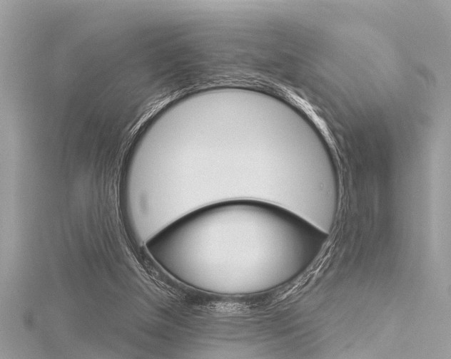 X0000116320154200912010951