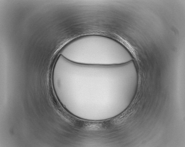 X0000116320155200912010951