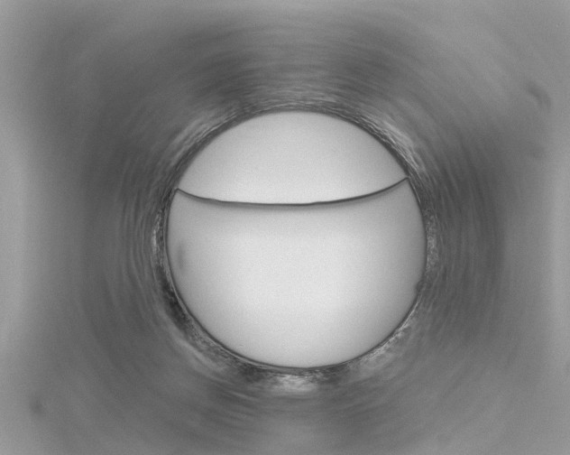 X0000116320166200912010951