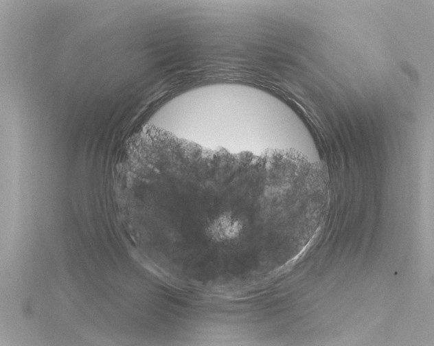 X0000116320171200912010951