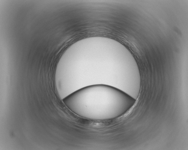 X0000116320174200912010951