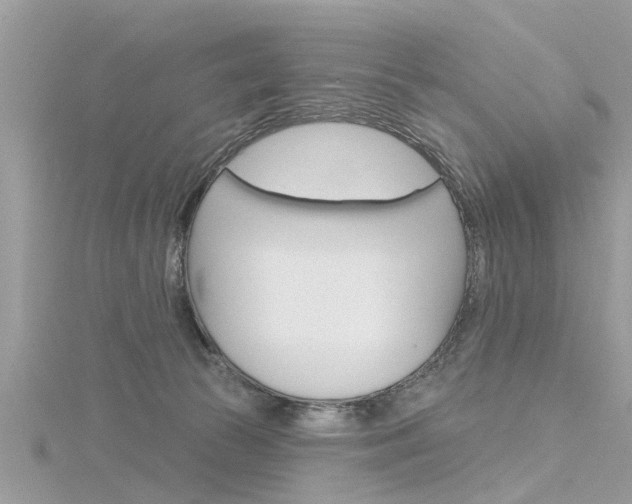 X0000116320177200912010952