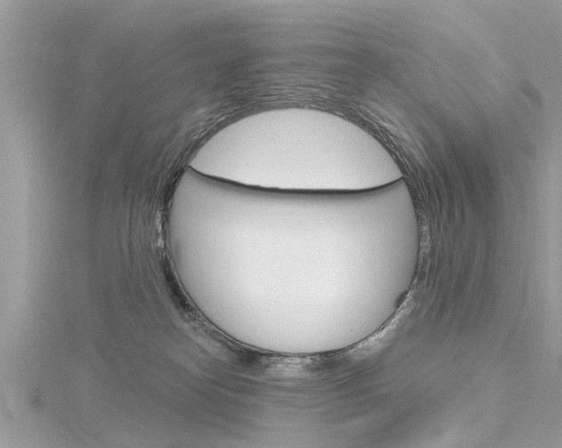 X0000116320182200912010952