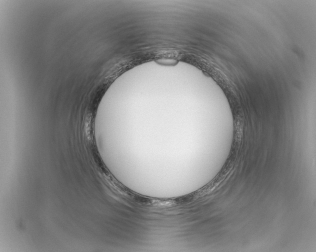 X0000116320185200912010952