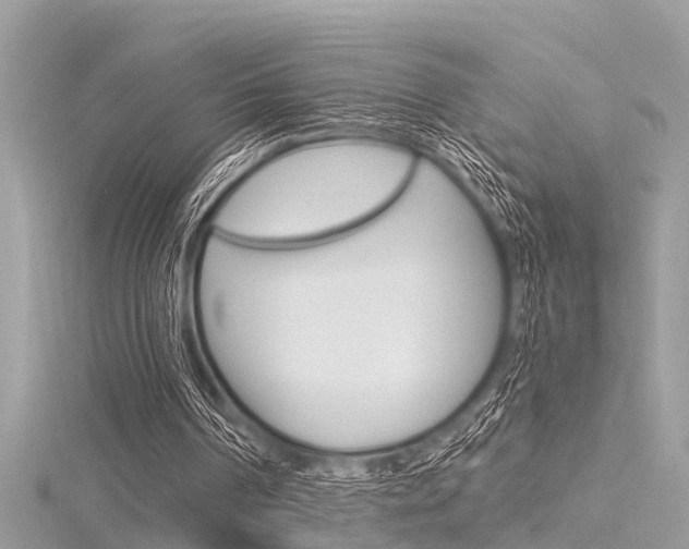 X0000116320194200912010951