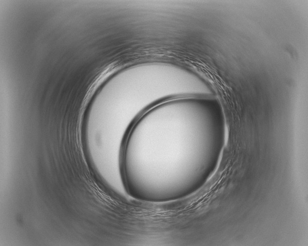 X0000116320195200912010951
