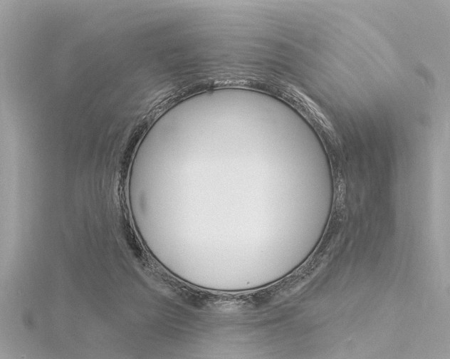 X0000116320209200912010951