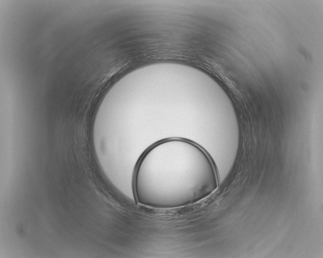 X0000116320211200912010951