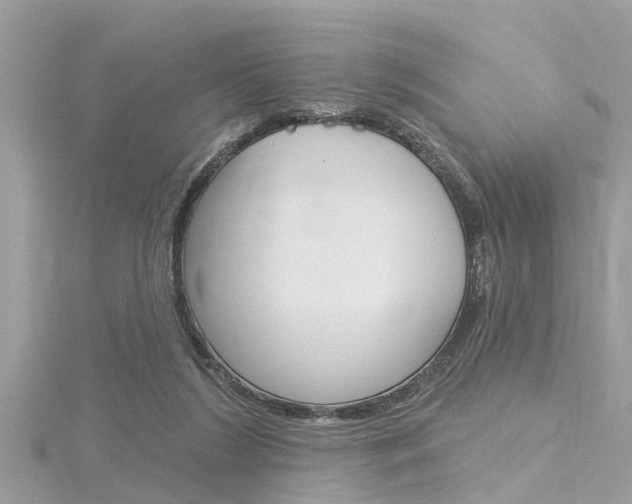 X0000116320212200912010951
