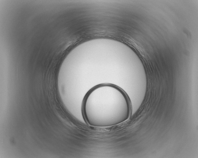 X0000116320215200912010951
